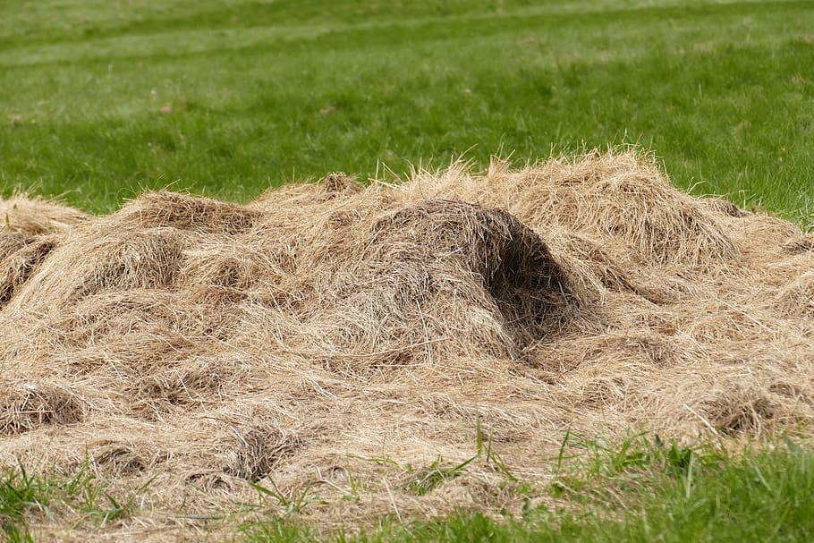 haystack, meadow, pile, pet food, romantic, alpine meadows HD wallpaper