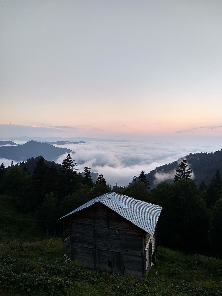 great adjara, goderdzi pass, georgia, sky, plant, tree, architecture HD wallpaper
