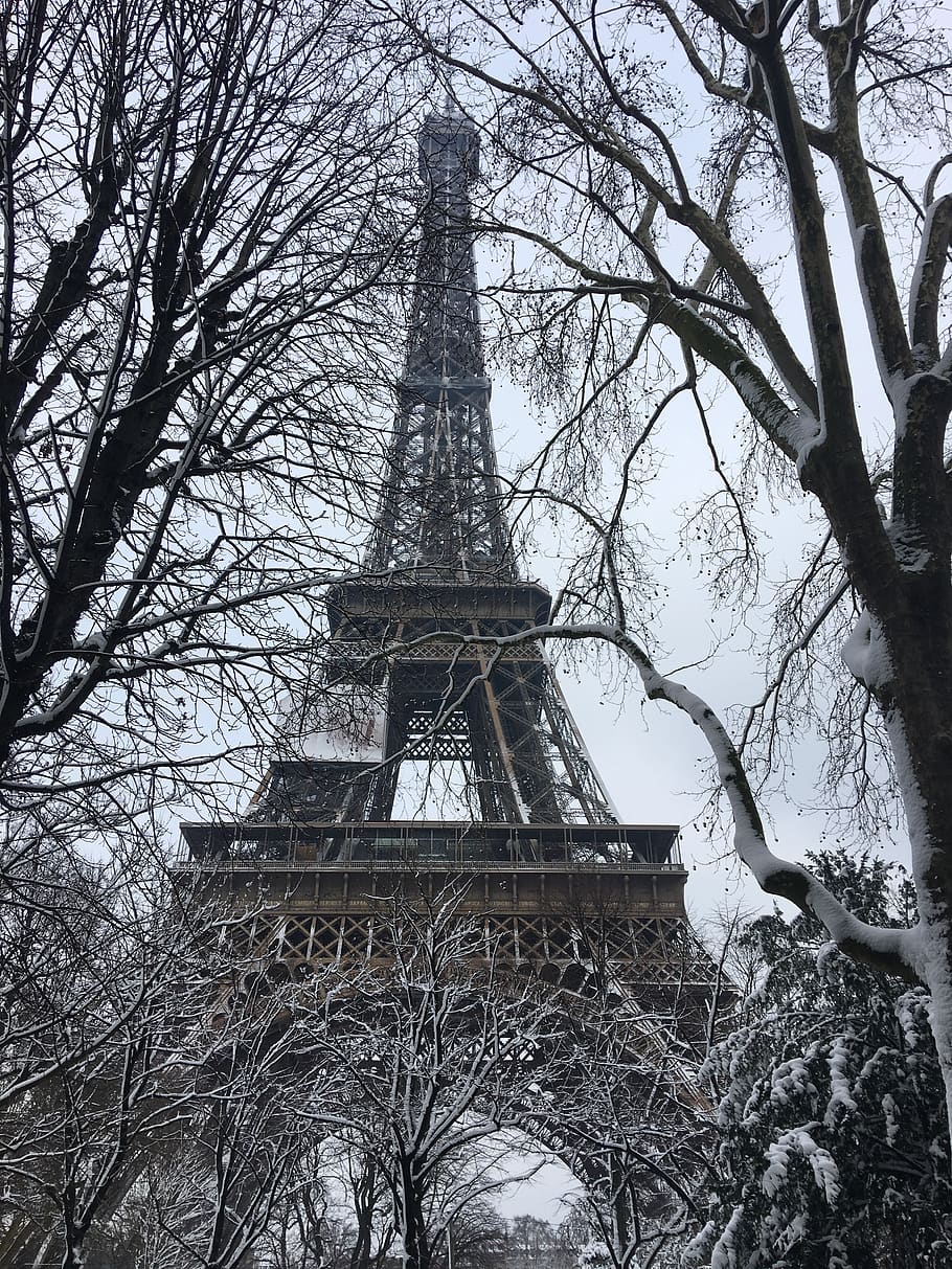Париж эйфелева башня зимой