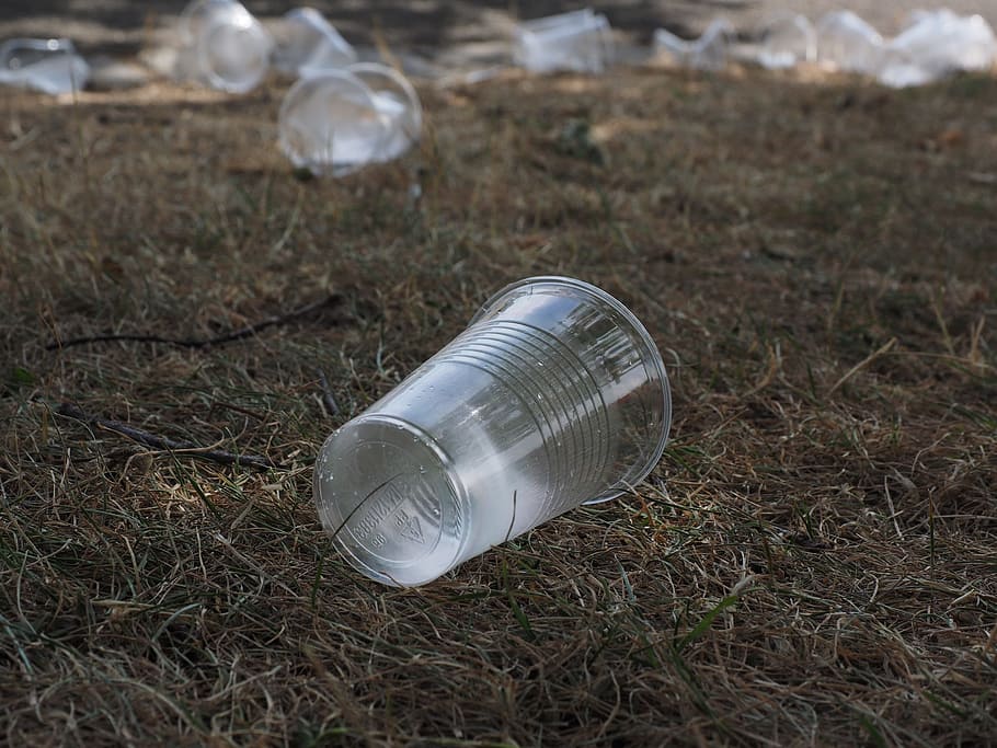 close-up photography of clear plastic cup on green grass, Beverage HD wallpaper