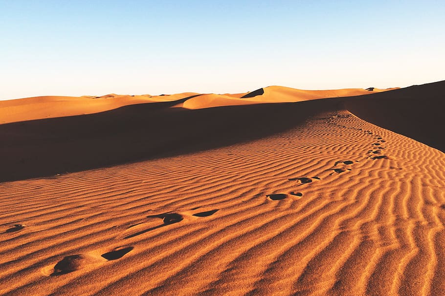 Landscape shot of desert sand dunes in Africa, nature, heat, natural