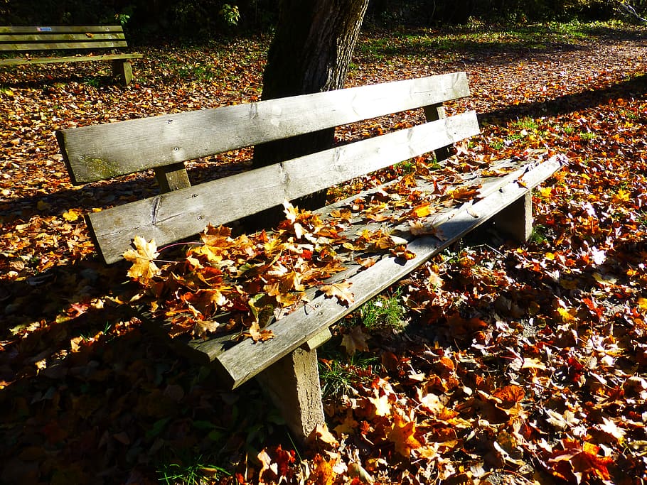 Bank, Autumn, Leaves, Sun, Fall, fall leaves, benches, park, HD wallpaper