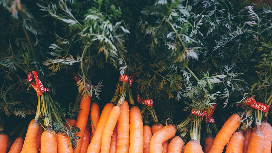 Carrot Tops, bunch of carrots, vegetable, orange, leaves, market HD wallpaper