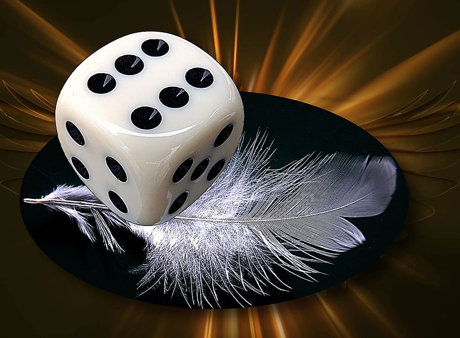 white and black die with gray feather, Assembly, Graphics, Abstraction HD wallpaper