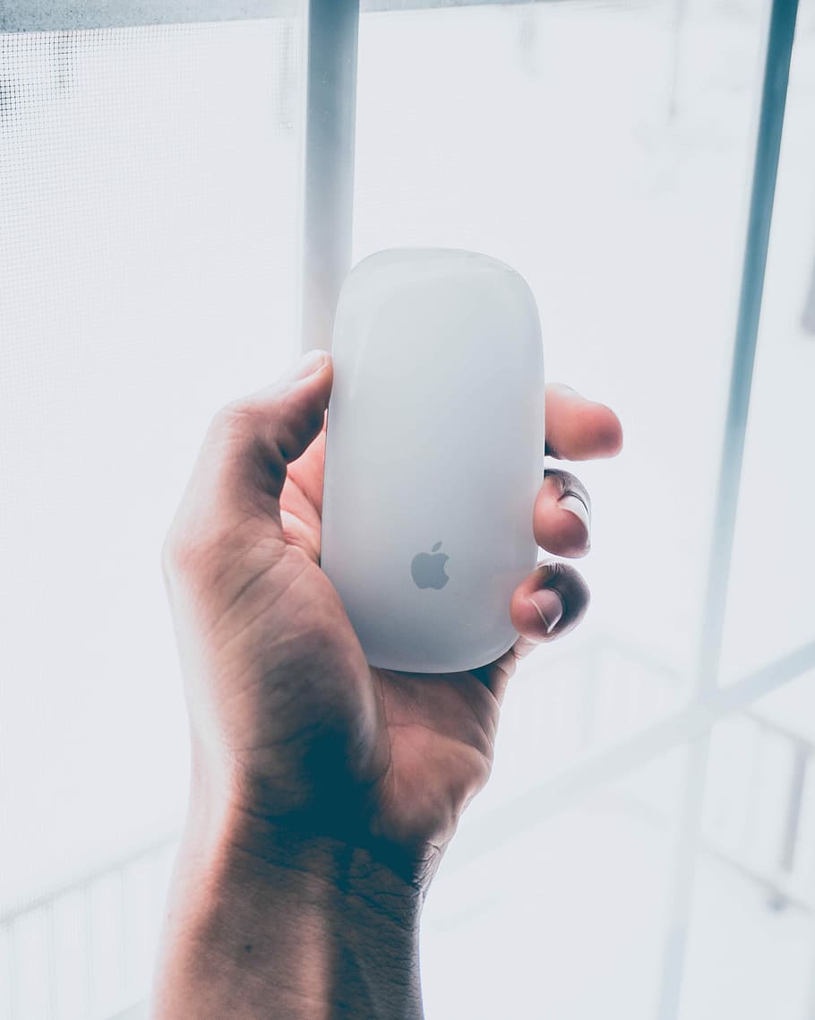 person holding Apple Magic mouse, person holding white Apple Magic Mouse HD wallpaper