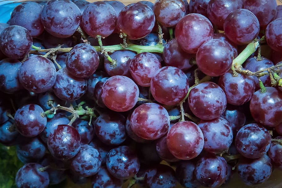 grapes, fruit, winegrowing, red grapes, vine, table grapes, HD wallpaper