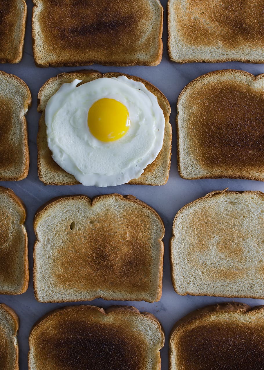 sunny side up egg on toasted breads, white and yellow egg on toasted bread HD wallpaper