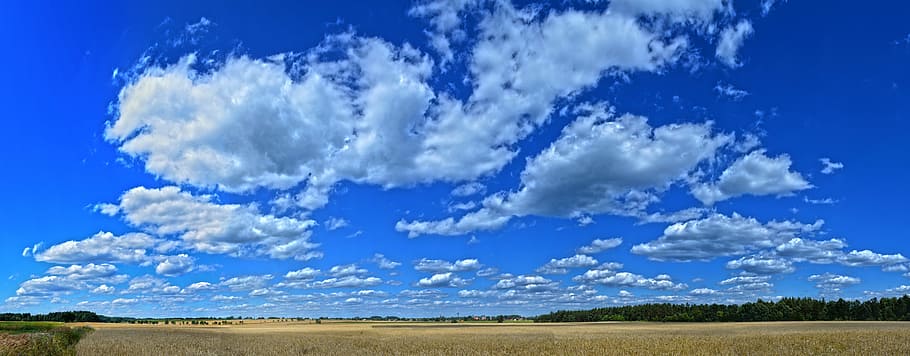 Heaven, Sky, Clouds, Landscape, blue, field, nature, scenics HD wallpaper