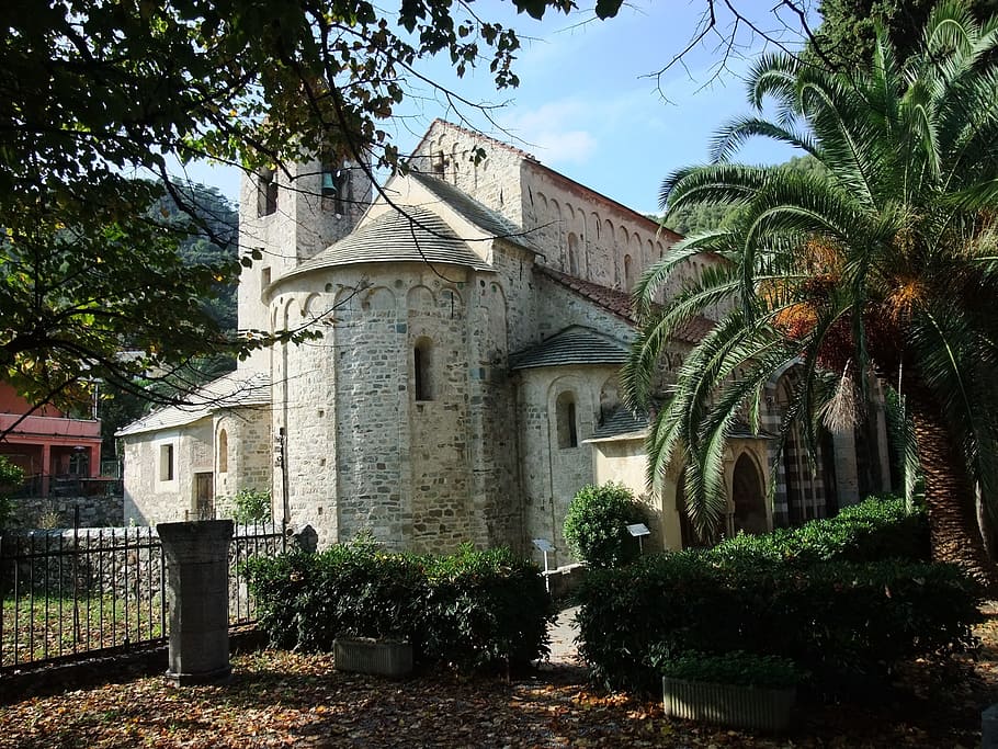 san paragorio, noli, italy, romanesque church, palm trees, plant