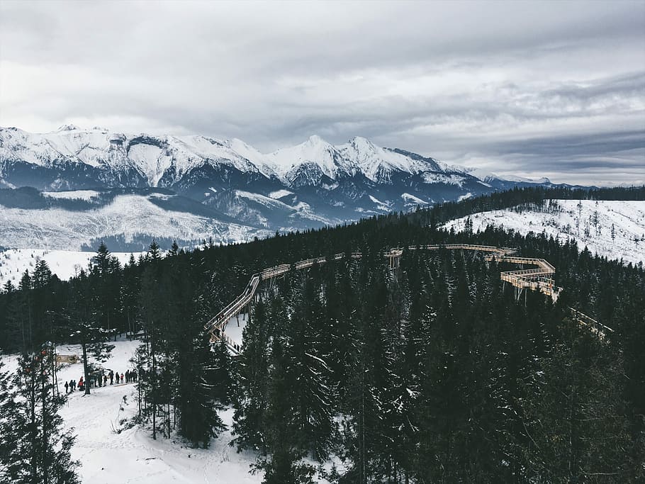 road surrounded by trees near snow filled mountain, aerial view of forest near mountain covered with snows HD wallpaper
