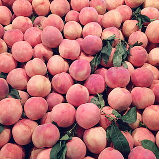 Fruit, Peach, Pink, food, red, freshness, agriculture, organic HD wallpaper