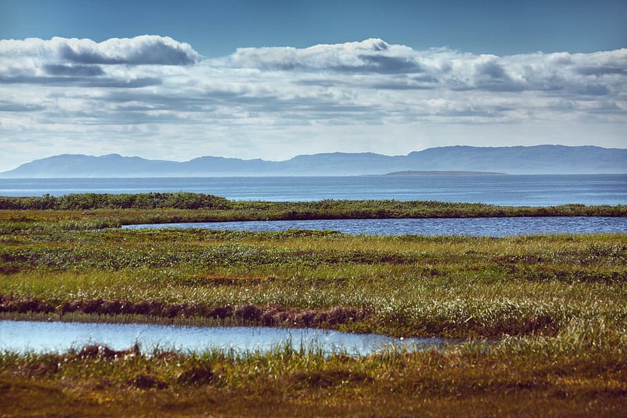 green grass field beside body of water during daytime, lake HD wallpaper