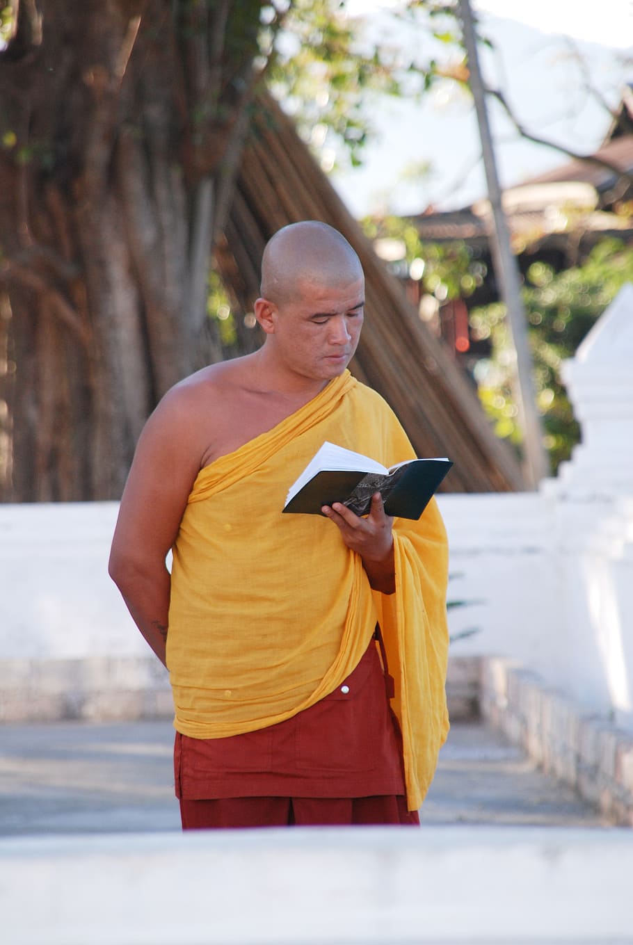 burma, monk, buddhist, myanmar, one person, real people, wireless technology HD wallpaper