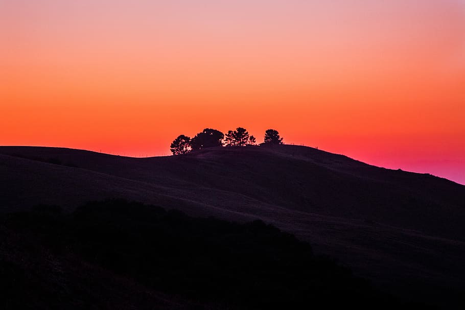 Colorful orange sky creates silhouettes at sunset, silhouette of tree on mountian HD wallpaper