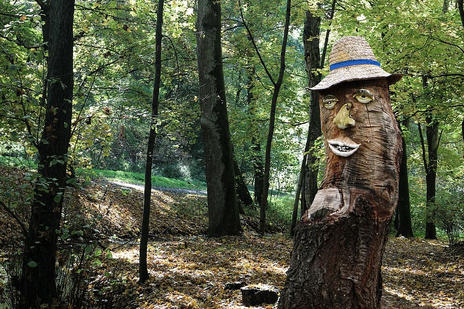 tree, tree stump, forest human, sawed off, log, figure, plant HD wallpaper