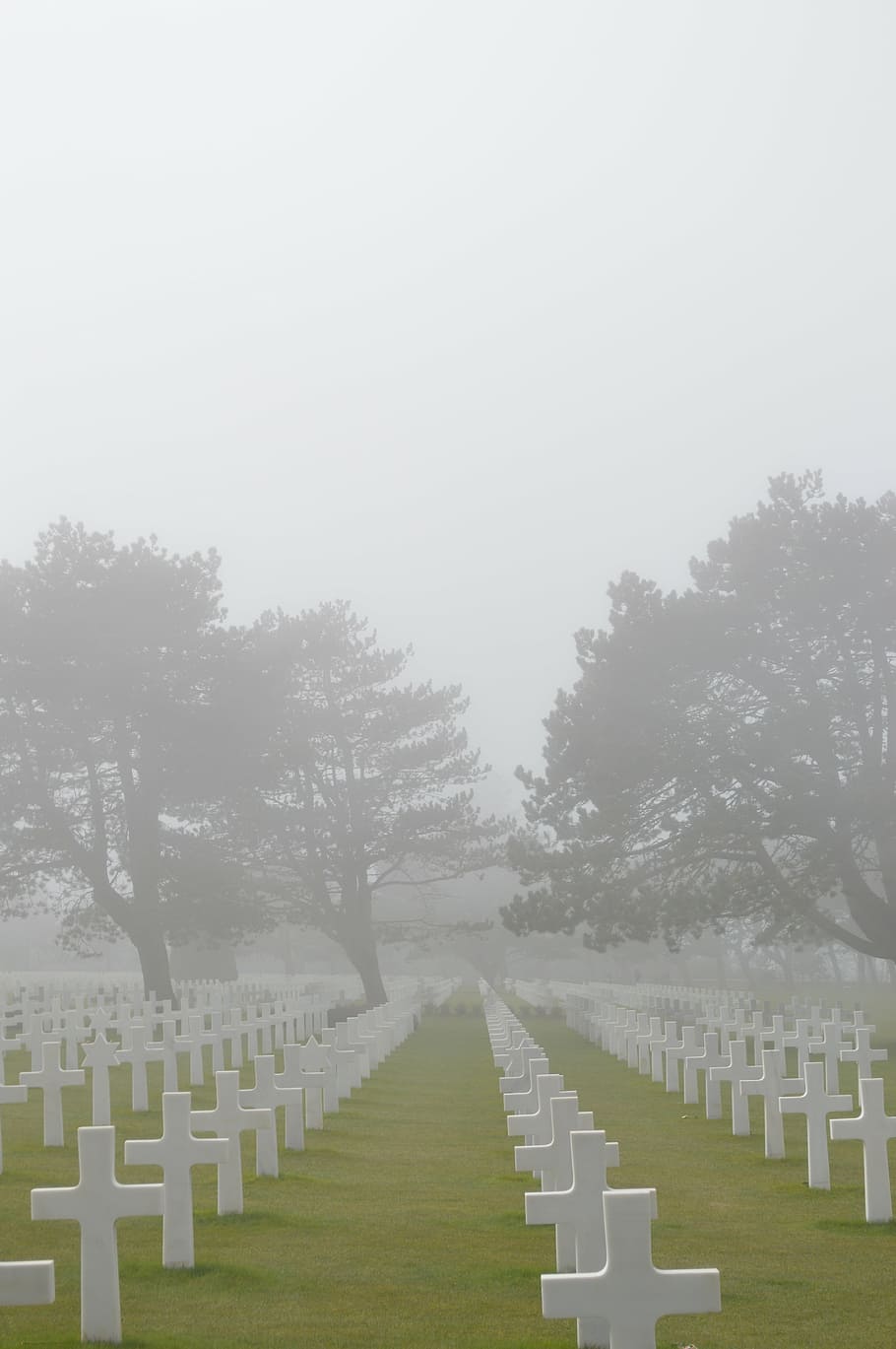 cemetery, american cemetery, landing, soldier, soldiers, tribute, HD wallpaper