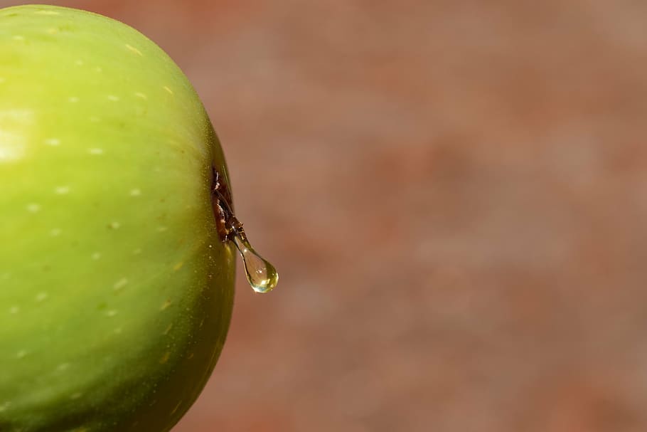 fig, close, fruit, ripe, food, eat, sweet, nature, green, drip HD wallpaper