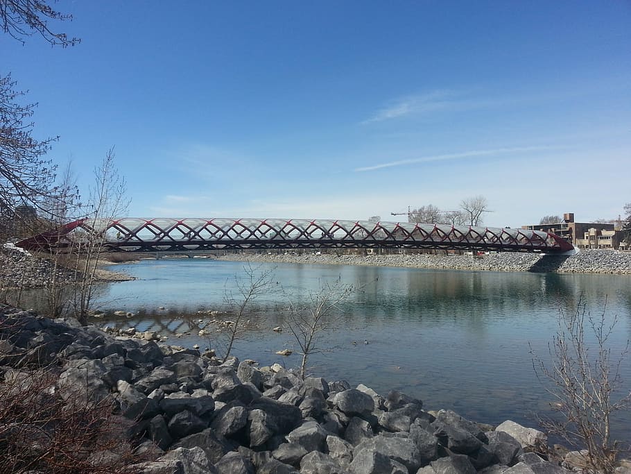 Calgary, Peace Bridge, Landmark, canada, pedestrian, bow river HD wallpaper