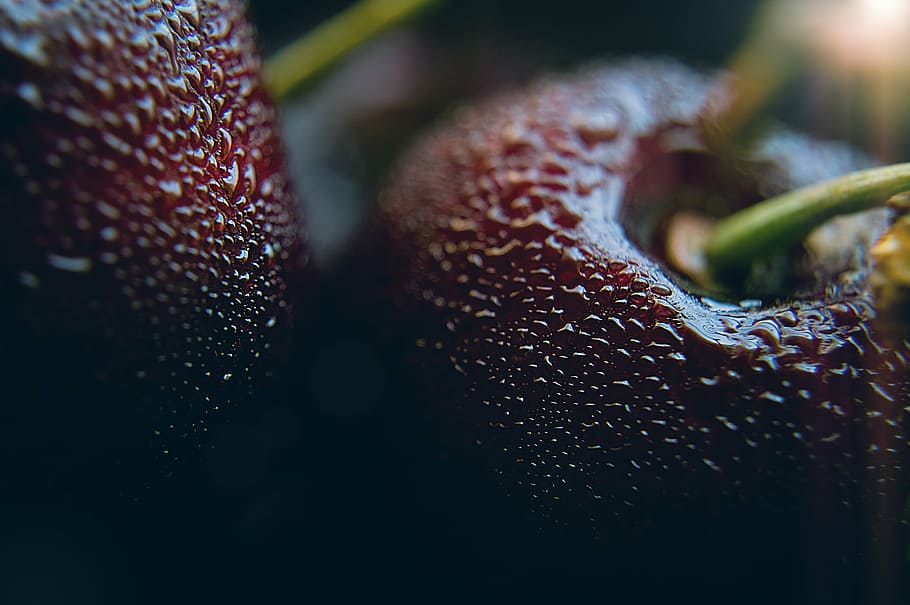 blur, cherries, close-up, dark, dewdrops, focus, fruit, grow HD wallpaper