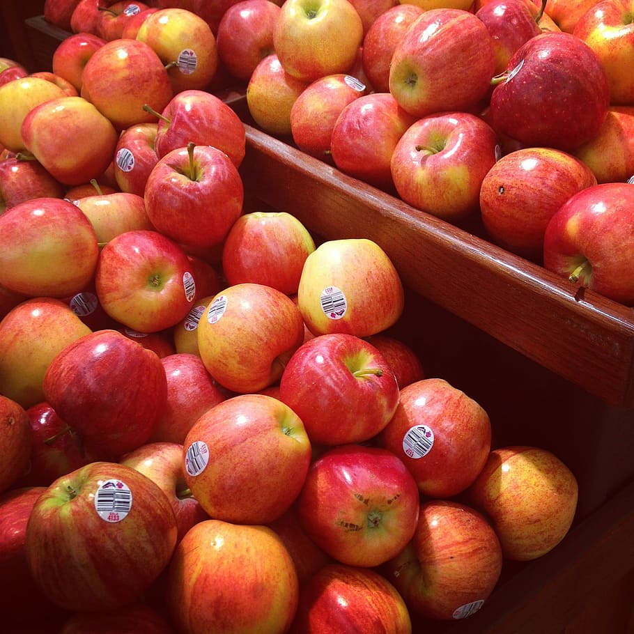 apples, fruit, fresh, red, store, nature, red apple, nutrition HD wallpaper