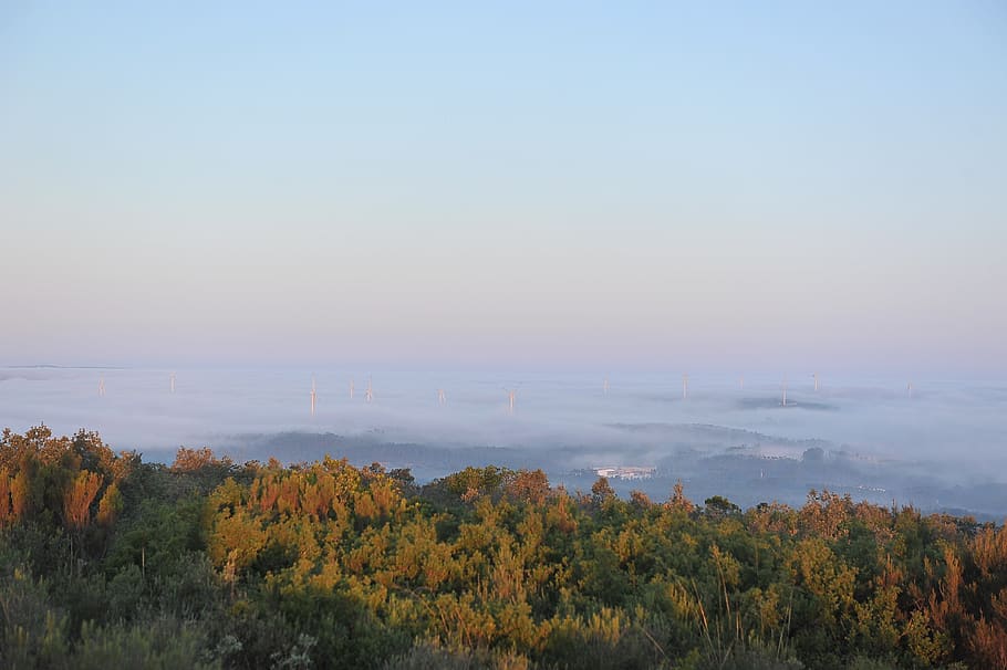 dawn, mountain, fatima, tree, beauty in nature, scenics - nature HD wallpaper