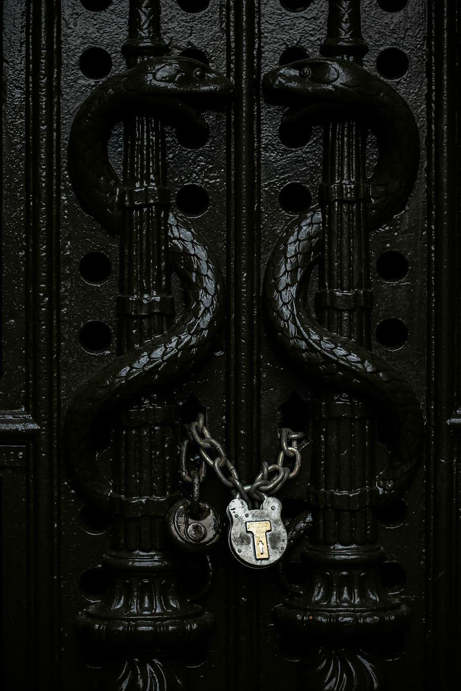 gray chain padlock on door in closeup shot, black metal snake embossed door lock with two gray padlocks