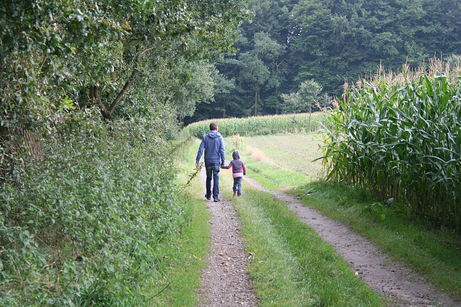 walk, father, away, run, hiking, human, leisure, community HD wallpaper