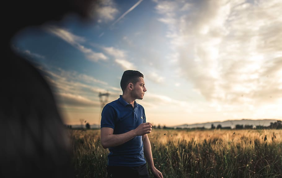 man wearing blue polo shirt, man wearing blue polo shirt standing on green grass looking onto golden hour