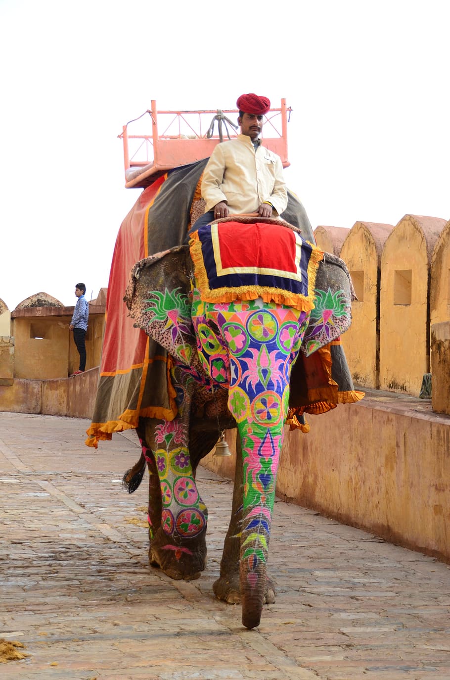 man riding on elephant at daytime, amber palace, india, mammal