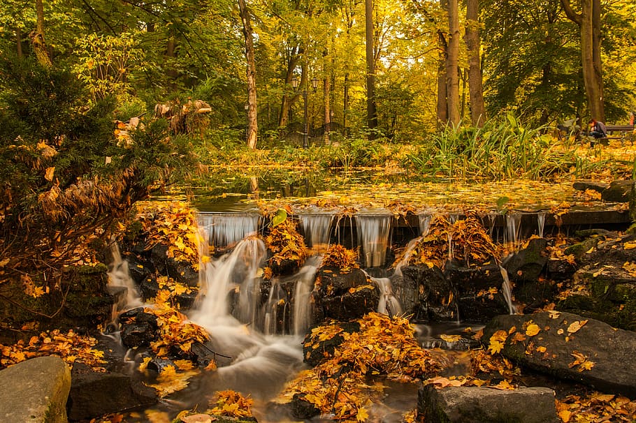 waterfalls in forest, waterfalls crashing on racks, tree, rock HD wallpaper