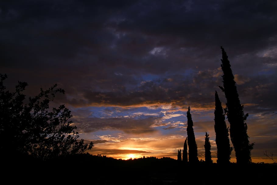 sunset, sky, cloud, horizin, yellow, dawn, view, light, orange HD wallpaper