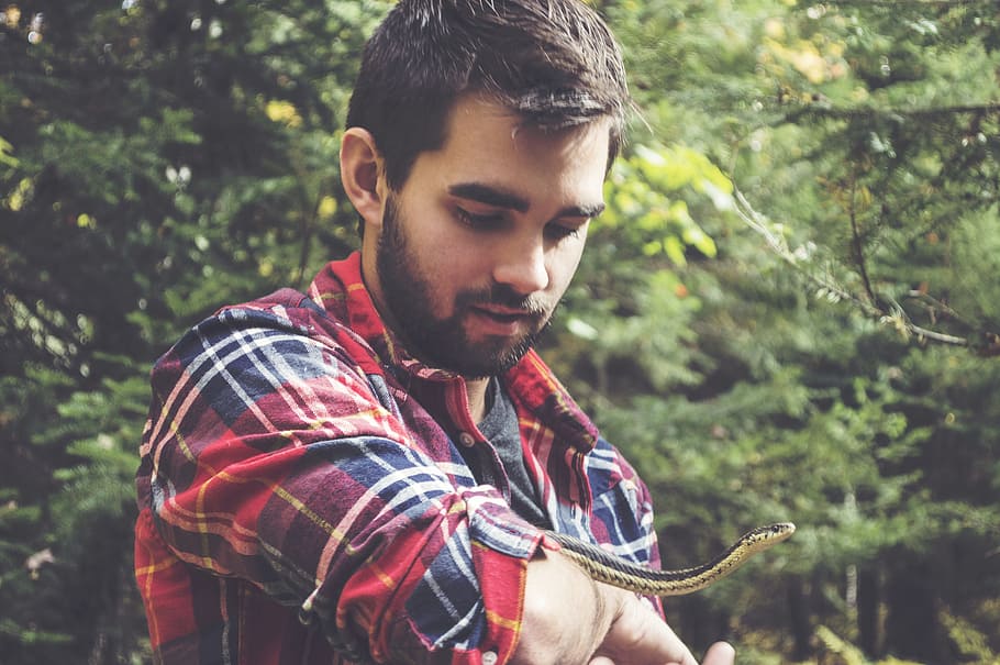 man holding black and white snake outdoor during daytime, selective focus photo of man playing snake HD wallpaper