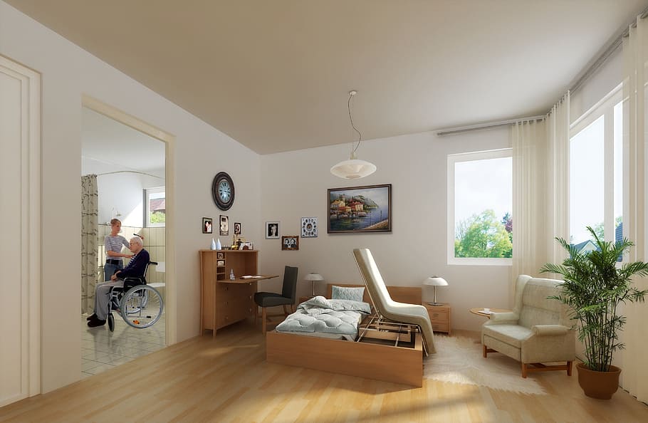 green leafed plant in front of window, interior, villa, rendering HD wallpaper