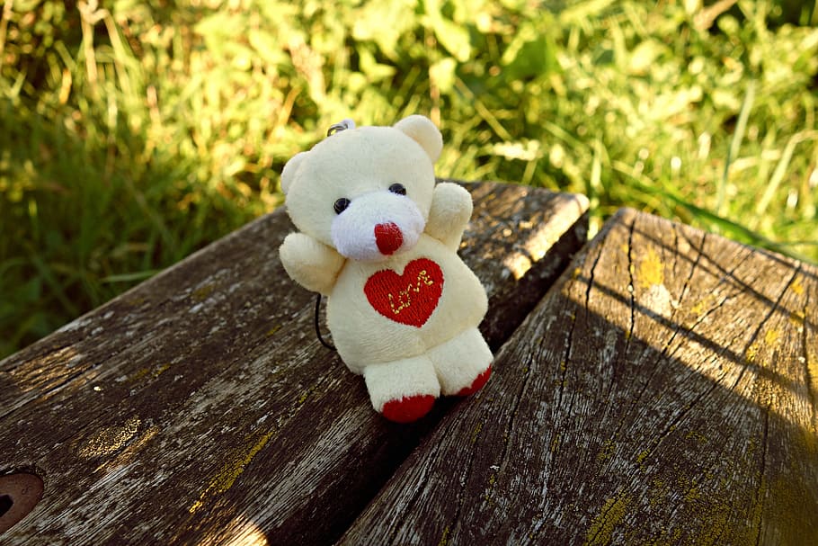 teddy bear, toy, cute, key hanger, love, heart, utensil, representation HD wallpaper