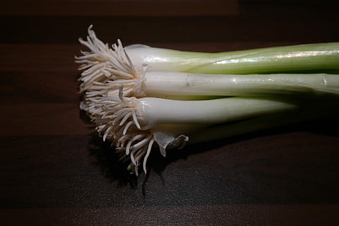 Winter, Onion, Leek, Root, Stalk, winter onion, vegetables HD wallpaper
