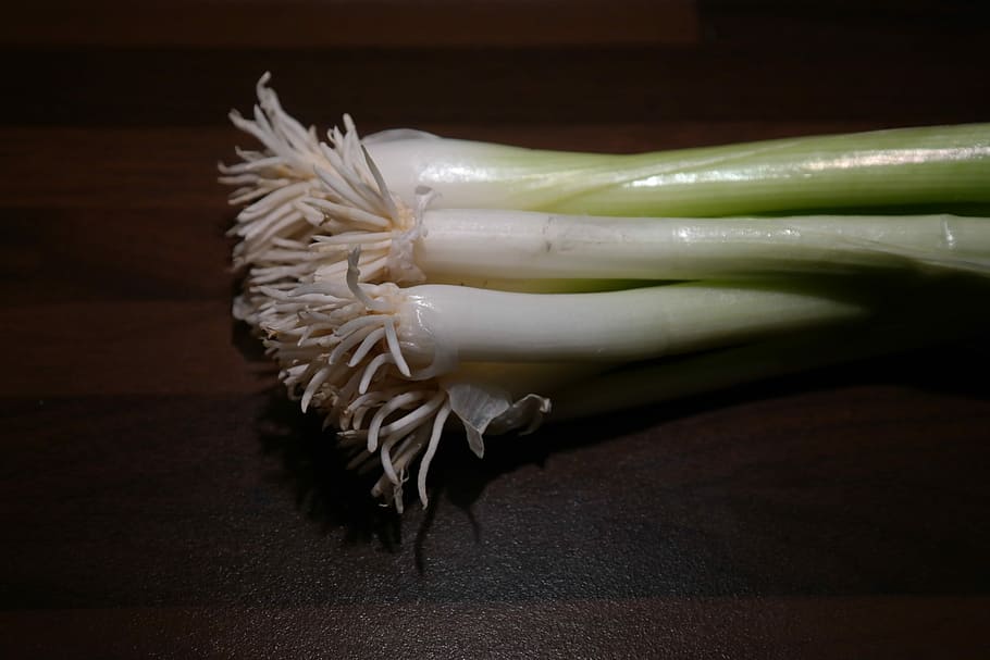 Winter, Onion, Leek, Root, Stalk, winter onion, vegetables, HD wallpaper