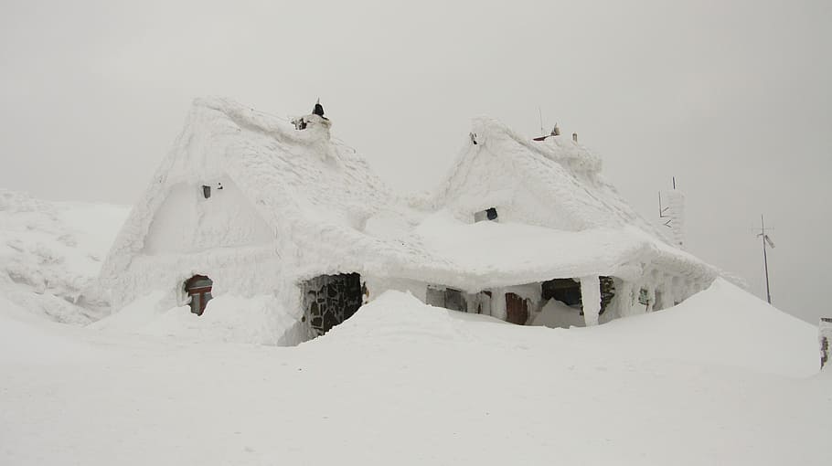 house covered in snow, snow-covered house, blizard, cold, winter