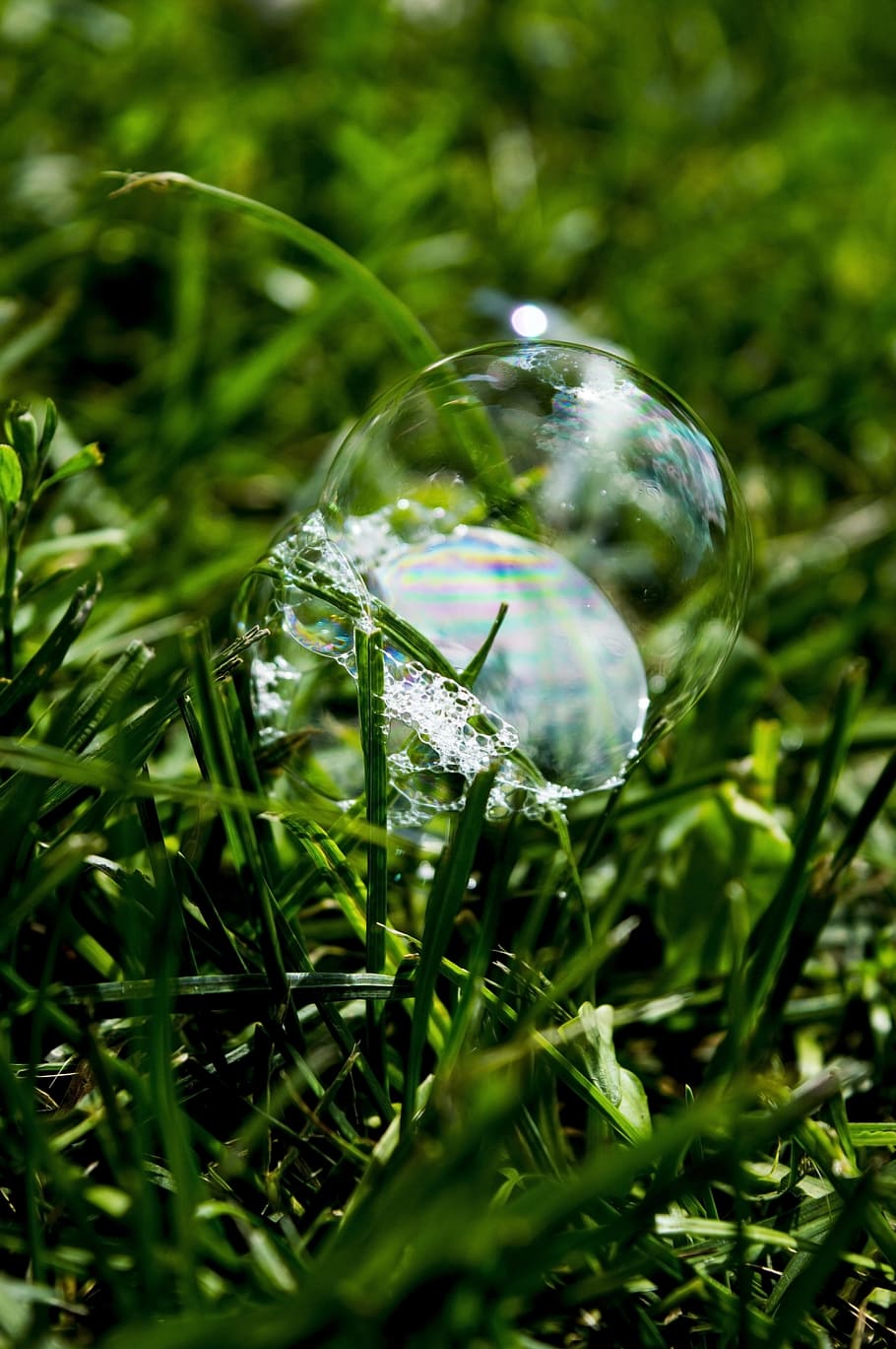 Bubble, Grass, Sphere, nature, green Color, environment, plant HD wallpaper