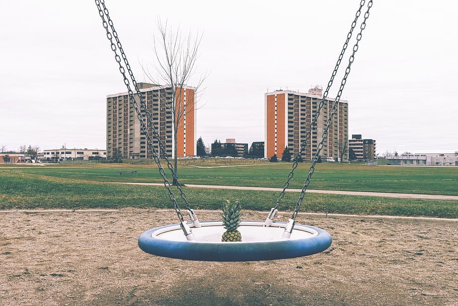pineapple, swing, buildings, playground, landscape, plant, built structure HD wallpaper