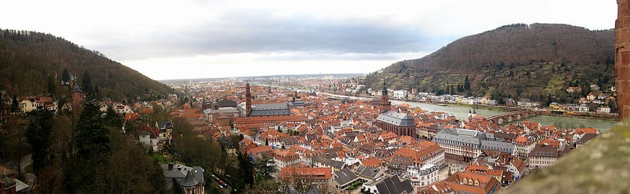 old town, heidelberg, panorama, river, castle, neckar, view, HD wallpaper