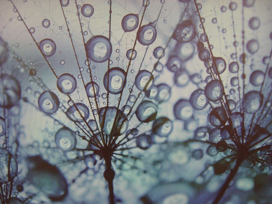 art, abstract, design, drop, water, close-up, no people, wet HD wallpaper