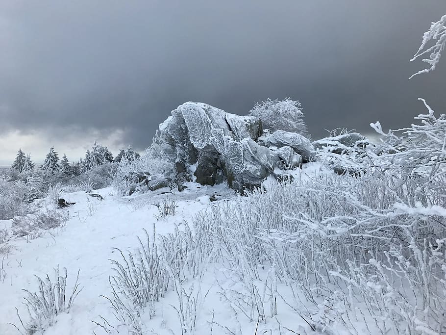 snow, winter, cold, frost, landscape, cold temperature, beauty in nature HD wallpaper