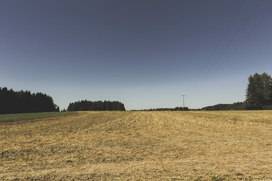 Field, Arable, Harvest, Landscape, nature, agriculture, fields HD wallpaper