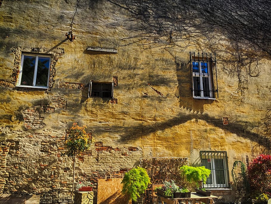 architecture, structure, wall, old building, bratislava, albrechtov dom HD wallpaper