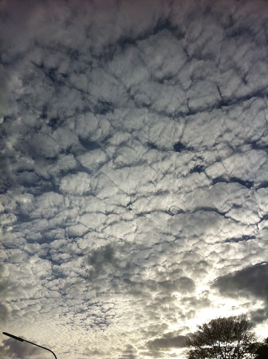 sky, clouds, white, cloud - sky, beauty in nature, scenics - nature HD wallpaper