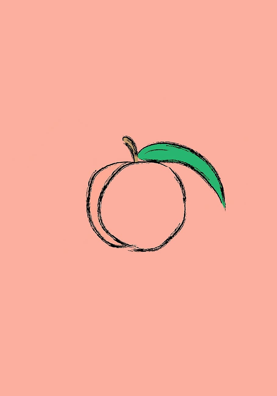fishing, rosa, leaf, something, do, disgust, just, tags, blblbl HD wallpaper