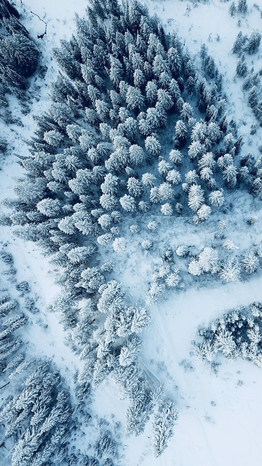 Mesa Falls Winter, aerial view of Pine Trees covered with snow HD wallpaper