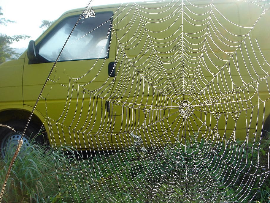 auto, yellow, web, large, impression, spider web, fragility HD wallpaper