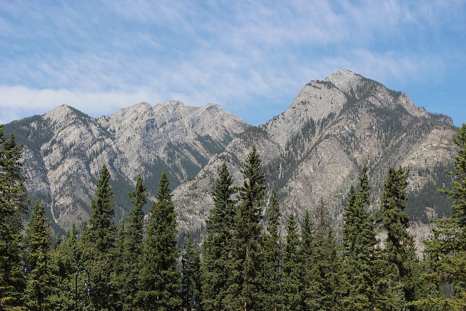 mountains, nature, sky, forest, calm, environment, fir trees HD wallpaper