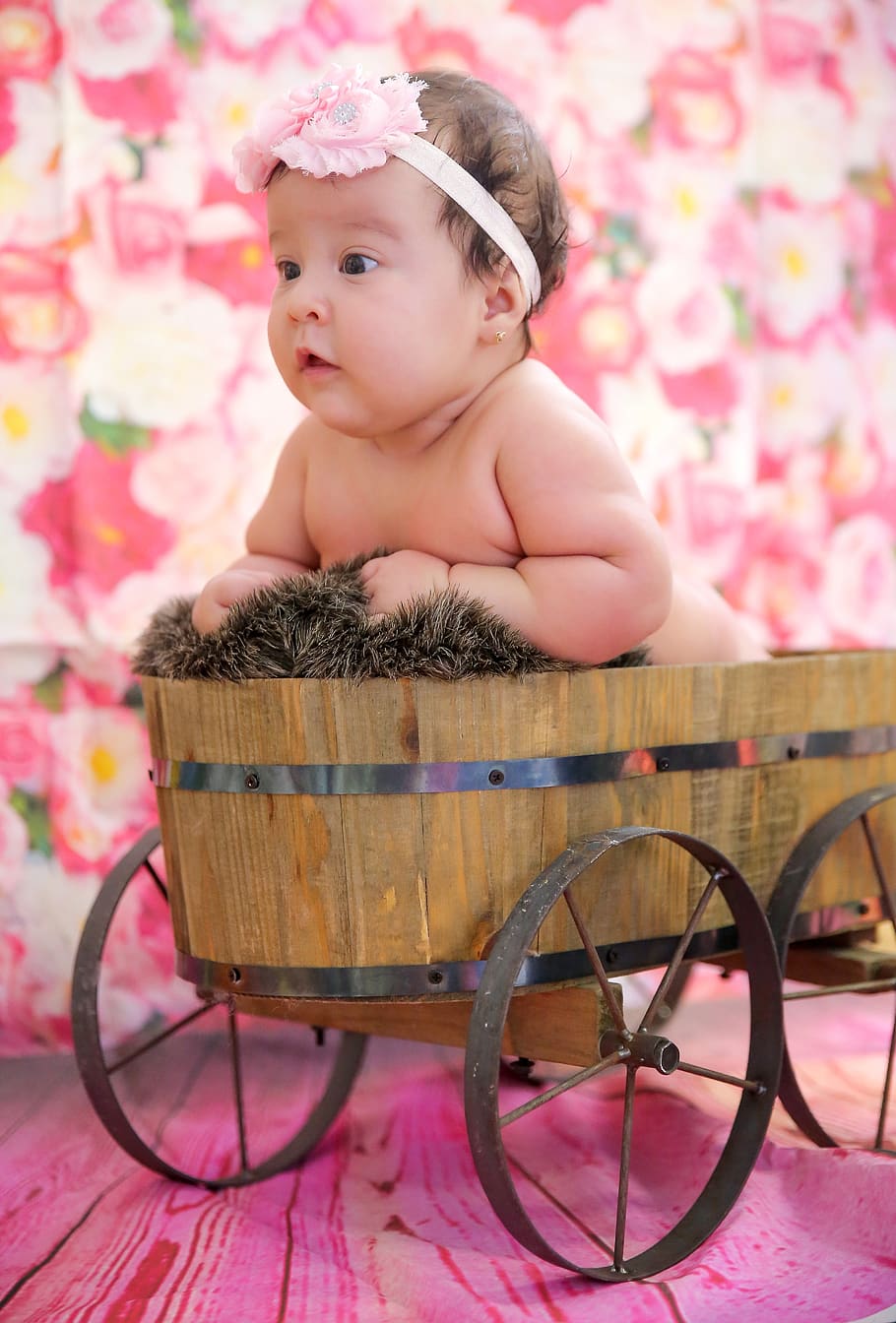 learning, alegre, third party, baby, child, one person, babyhood HD wallpaper
